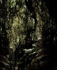 Caio Reisewitz, en la galería Joan Prats. Art42 Basel