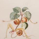 Salvador Dalí. Abricot Chevalier, 1969-1970, detail
