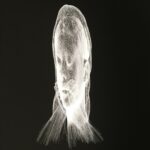 Jaume Plensa, Lumière invisible (Wilsis), 2018, detalle 1