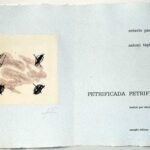 Antoni Tàpies, Petrificada petrificante, 1978, Octavio Paz 2