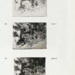 Fernando Zóbel, El jardín, 1973, catalogue reproduction