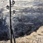 Fernando Delapuente, Strada de Alcalá, 1956, detalle 1